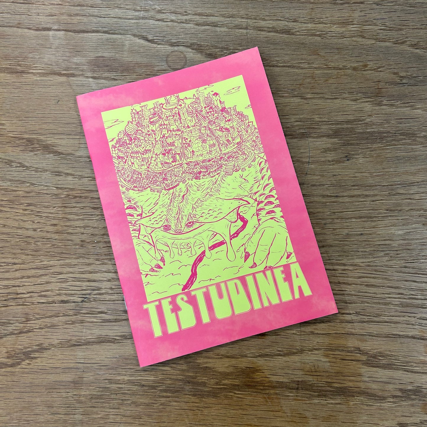 Testudinea