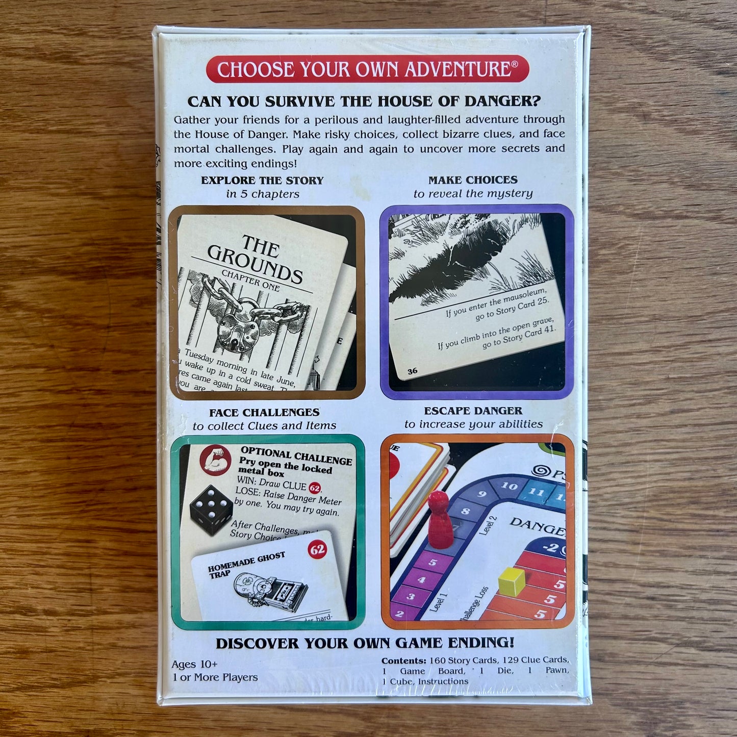 Choose Your Own Adventure: House of Danger