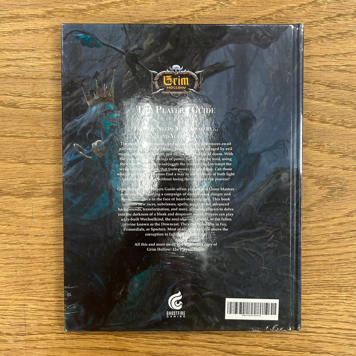 Grim Hollow: The Players Guide