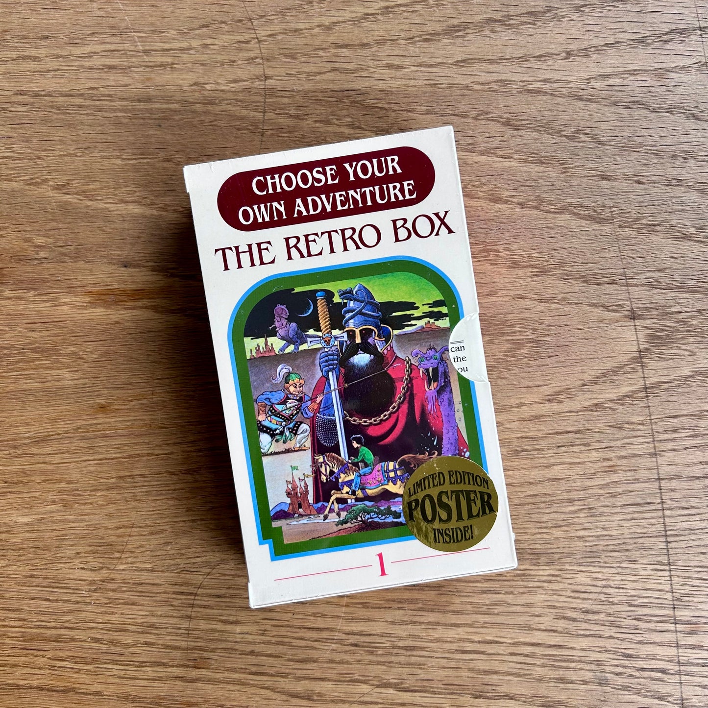 Choose Your Own Adventure: The Retro Box