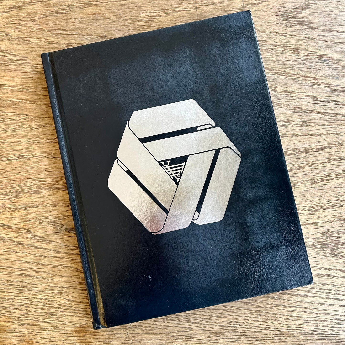 Technocracy Reloaded (leather bound)