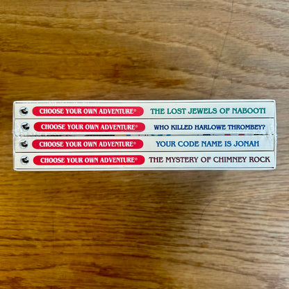 Choose Your Own Adventure: The Mystery Box